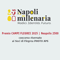 Vincitori Premio Napoli Millenaria