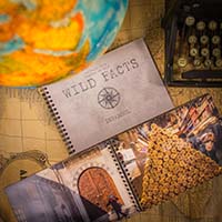 WILD FACTS ISTANBUL di Emanuele Di Cesare